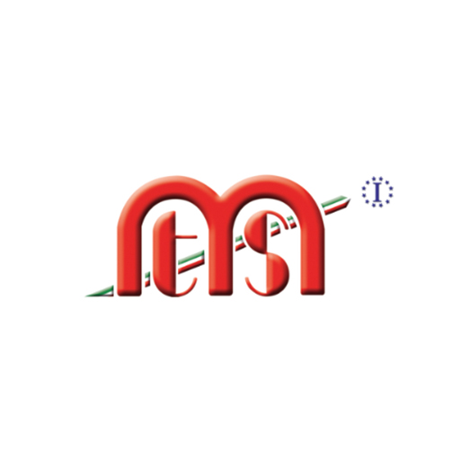 MTS MECCANICHE S.P.A.